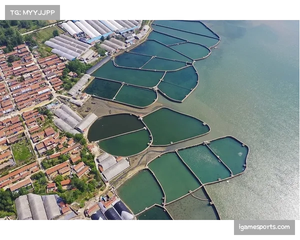 青岛国信水产新秀孙泽锦场均18.5分 进攻端贡献显著